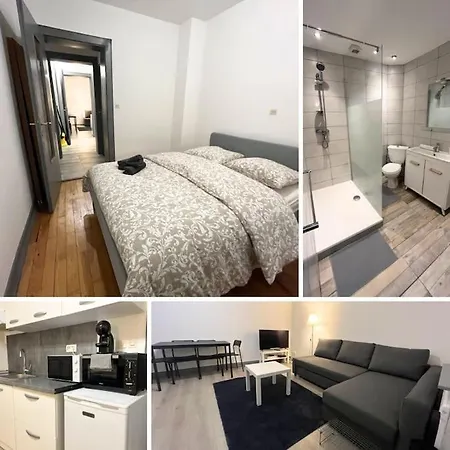 Cosy Rent Florent Tv Wifi * Strasburgo